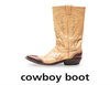 Final T Cowboy Boot Dnt Image